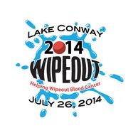 lake conway wipeout