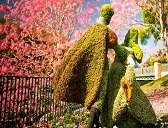 Epcot International Flower and Garden Festival