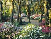 Earth Day at Bok Tower Gardens