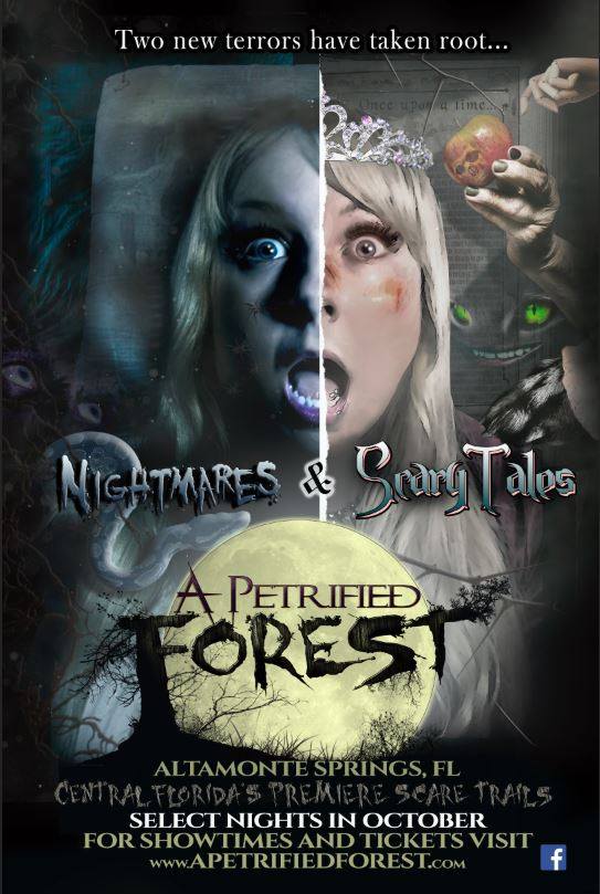A Petrified Forest 2016