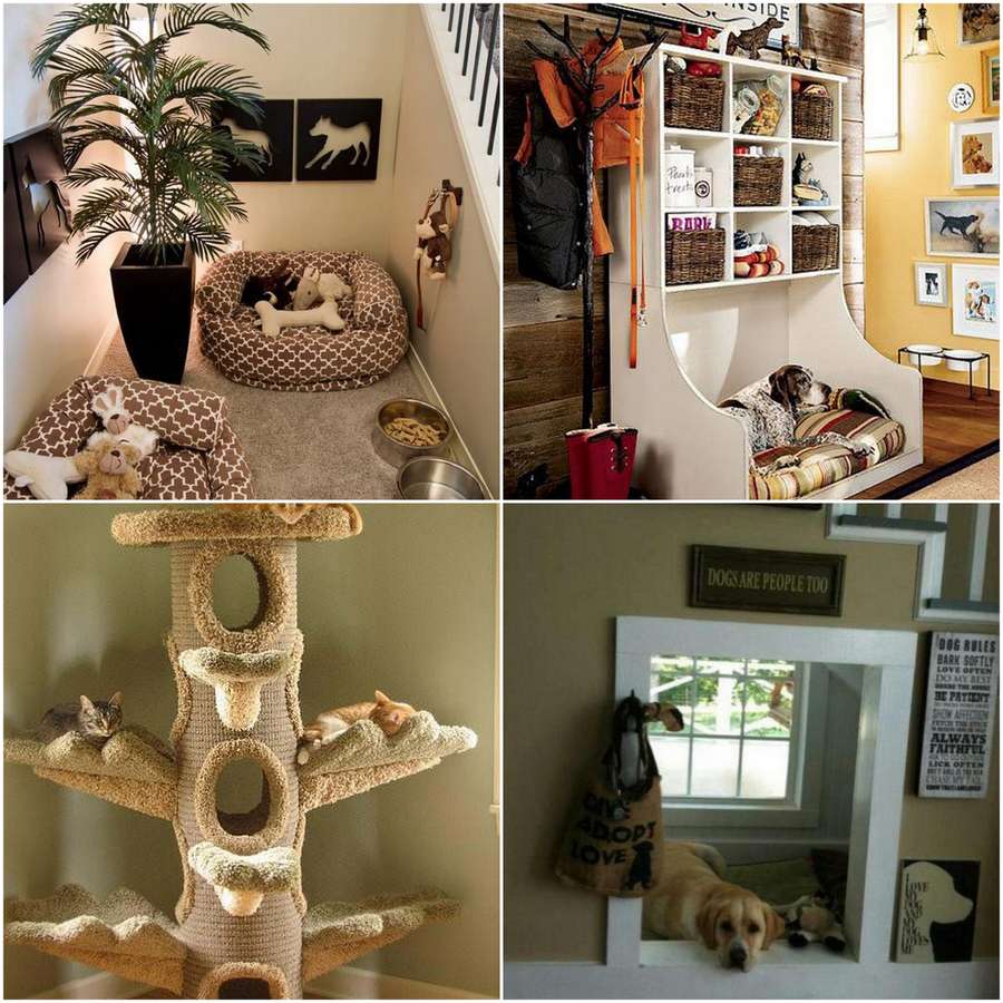 Orlando Avenue Blog » Blog Archive » How to Have a PetFriendly Home!