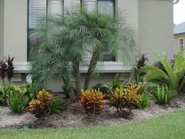 Beautiful and Easy Landscape Plants for Orlando, FL